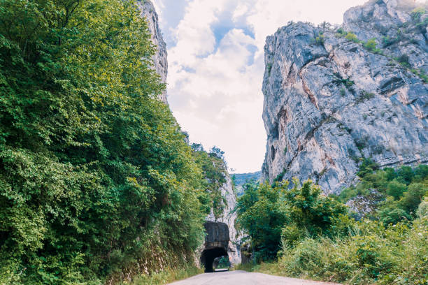 istock Tunnel on the road 1273008958