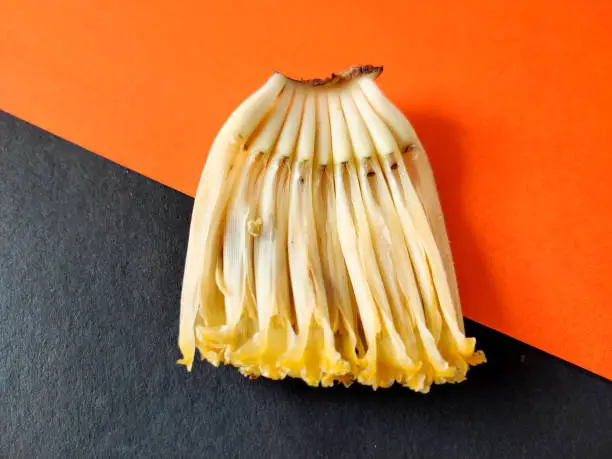 Photo of One set of uncooked banana flower floret isolated on black and orange background,