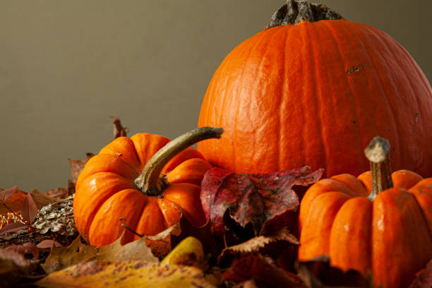 A fall themed composition with pumpkins on fallen autumn leaves