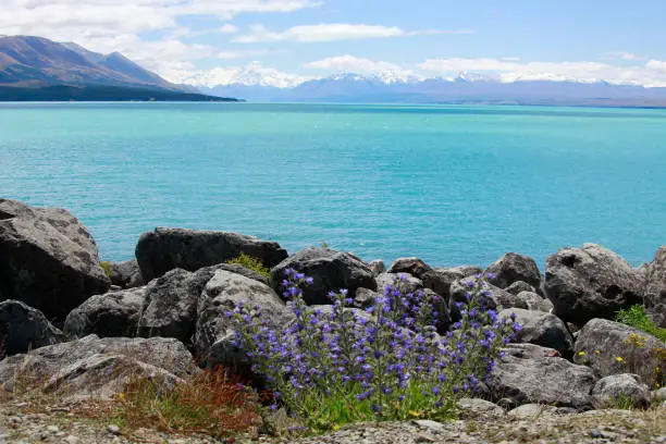 beautiful turquoise color from glacier headwaters grinding rock called rock flour and sunlight create the lovely color