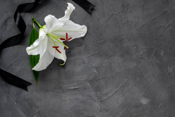 istock Lily funeral flower on dark stone. Condolence card with copy space 1273016986