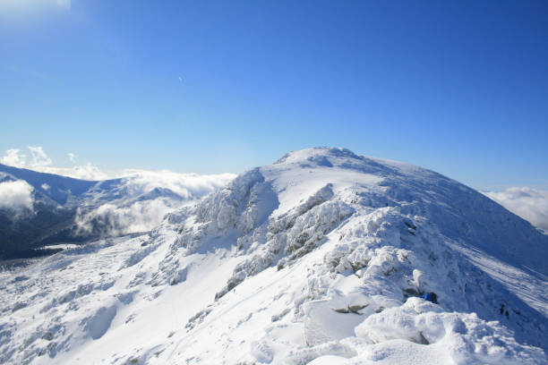 istock Sierra de Guadarrama in winter 1273018596