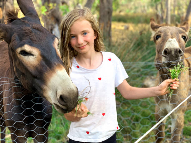 istock I Love the Donkeys 1273030623