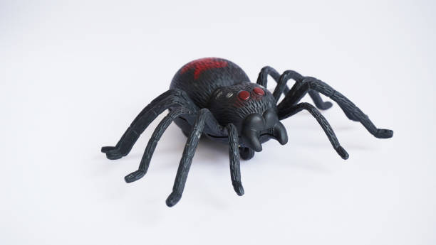 istock Black clockwork plastic toy spider on a white background, close up. oncept of celebrating the day of the dead, Halloween 1273059613