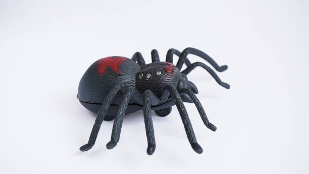 istock Black clockwork plastic toy spider on a white background, close up. oncept of celebrating the day of the dead, Halloween 1273059615