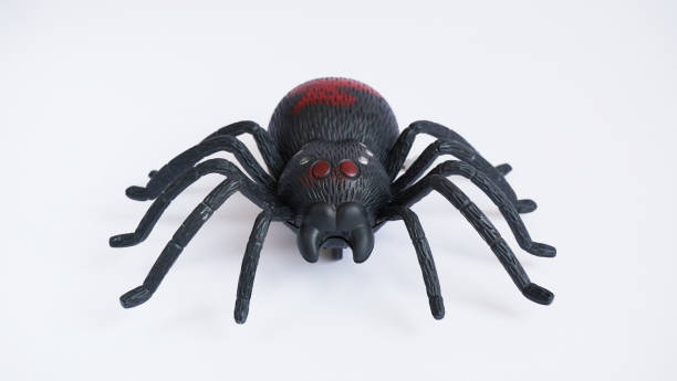 istock Black clockwork plastic toy spider on a white background, close up. oncept of celebrating the day of the dead, Halloween 1273059616