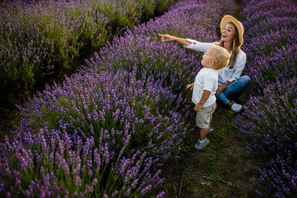 istock Playtime is their absolute favourite 1273061934