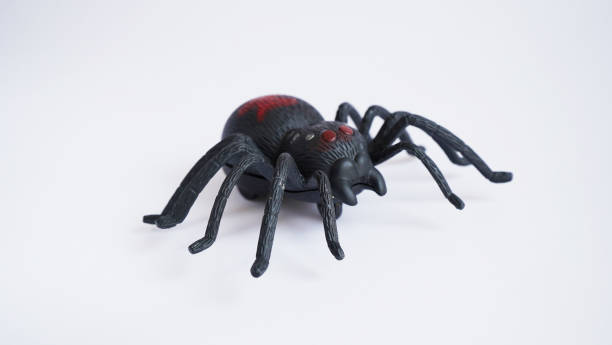 istock Black clockwork plastic toy spider on a white background, close up. oncept of celebrating the day of the dead, Halloween 1273071199