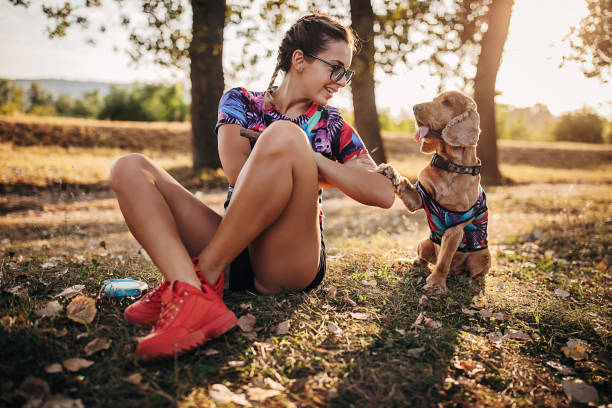 istock Young woman having fun in nature with her cocker spaniel dog 1273090804