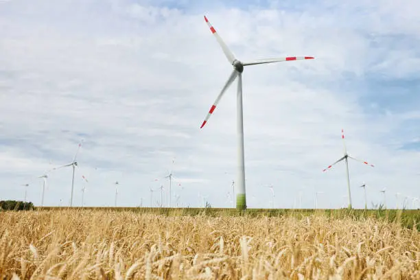 German wind turbines in nature on cornfields and meadows during the day photographed under impressive skies. In High resolution with copy space