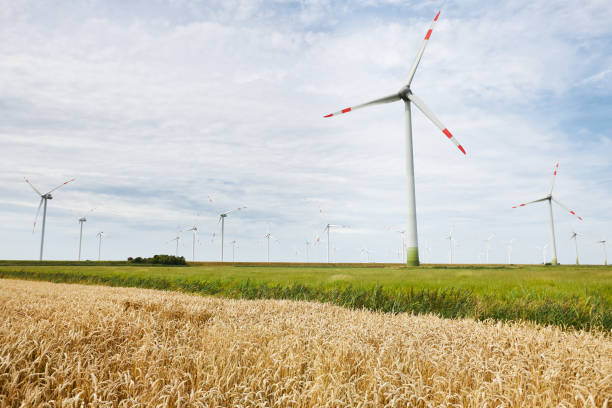 German wind turbines in nature on cornfields and meadows during the day photographed under impressive skies. In High resolution with copy space
