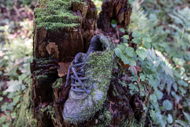 Focus scene on protective boot.