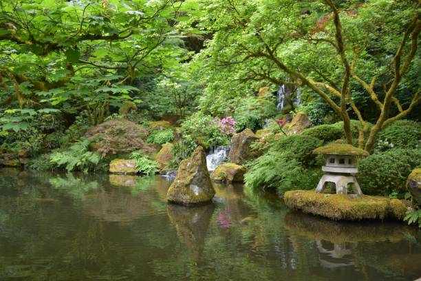 istock Japanese garden 1273112885