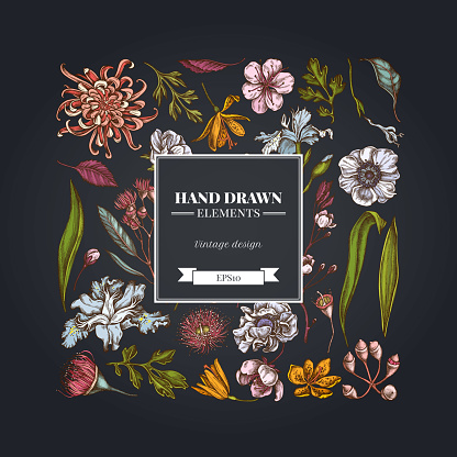 Square floral design on dark background with japanese chrysanthemum, blackberry lily, eucalyptus flower, anemone, iris japonica, sakura stock illustration