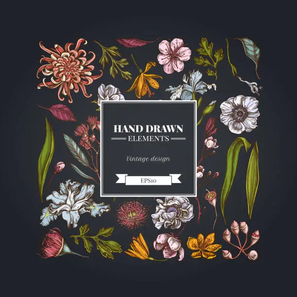 Vector illustration of Square floral design on dark background with japanese chrysanthemum, blackberry lily, eucalyptus flower, anemone, iris japonica, sakura