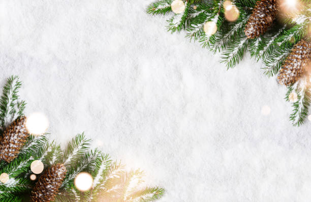 istock Christmas background, green pine branches, cones on snow background and light. Creative composition, top view. New Year's, holiday, christmas, decoration. 1273166900