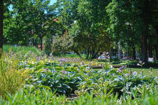 istock Garden of Summer 1273167051