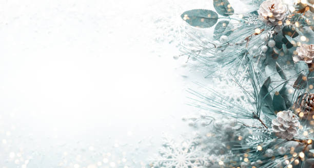 Cтоковое фото Концепция рождественских и новогодних праздников со снежными еловыми ветвями