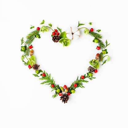 Christmas composition in shape of heart with pine connes, cotton flower, branches of spruce and holly with red berries on white background. Merry christmas greeting card with empty space for holiday text.