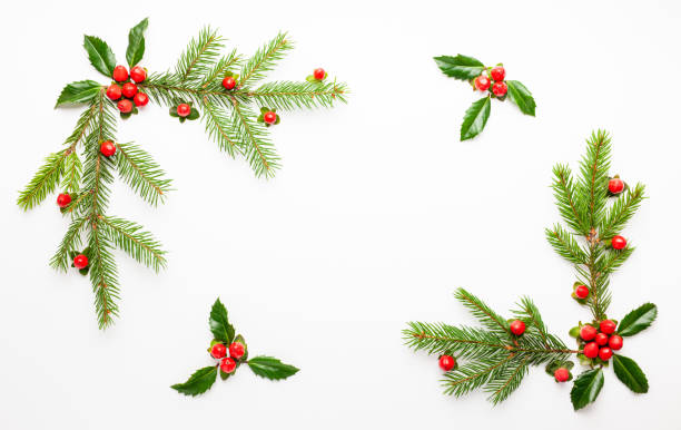 istock Christmas composition  with branches of spruce and holly 1273168565