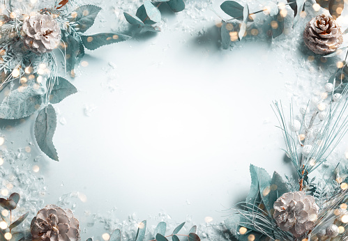 Concepto de vacaciones de Navidad y Año Nuevo con ramas de abeto nevado photo