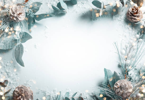 концепция рождественских и новогодних праздников со снежными еловыми ветвями - подарок фотографии стоковые фото и изображения