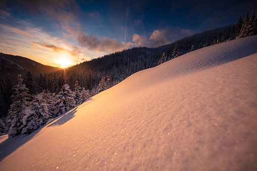 Morning aerial view of the winter forest. Top view of snow-covered trees. Beautiful northern nature. Ecological tourism in the woodland. Wide natural background. Aerial shot of trees covered in snow