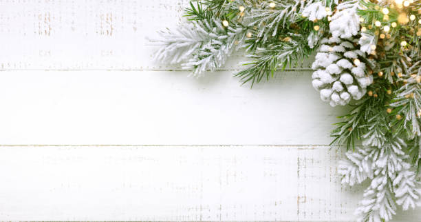 istock Christmas tree branch and pine cone in snow on a white wooden background 1273169669
