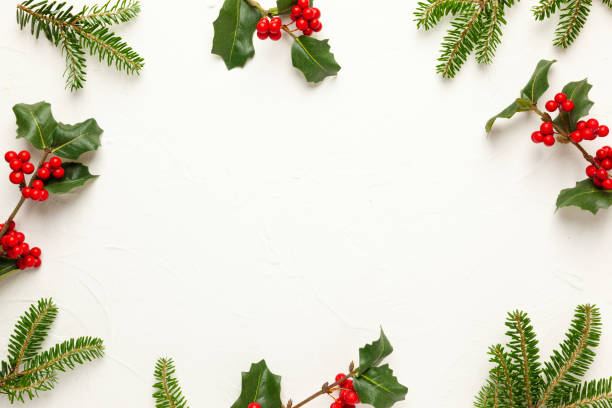 istock Christmas background with branches of holly with red berries on white 1273169703