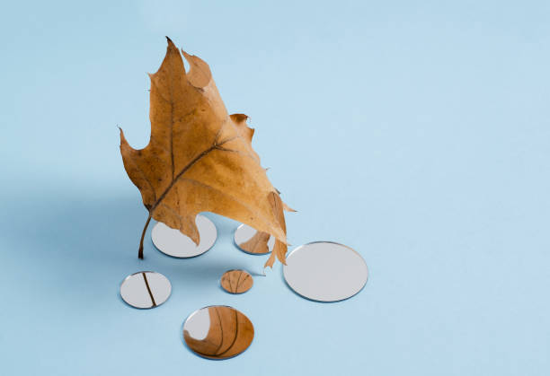 istock The brown oaklein sheet is reflected in small round mirrors against a blue background. Selective focus, copy space 1273172275