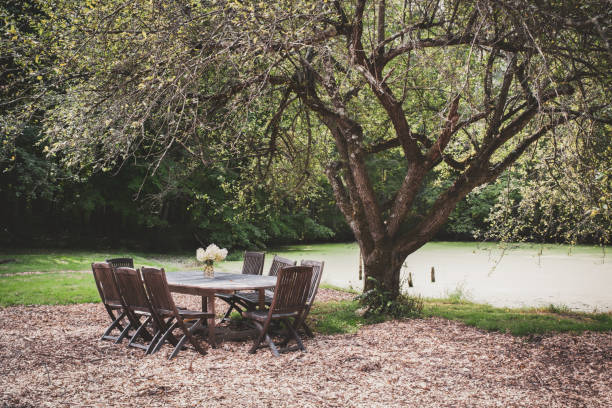 istock Meal outdoors 1273172954
