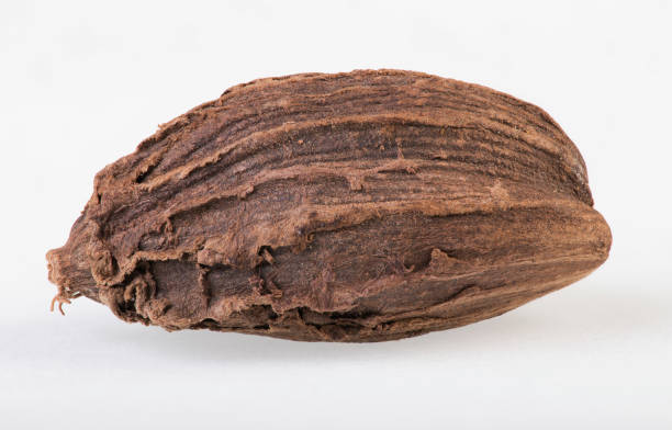 istock Close-up of single black cardamom seedpod on a white background 1273193040