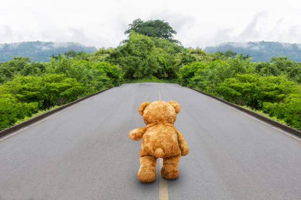 Lone walked teddy bear on lonely road landscape.