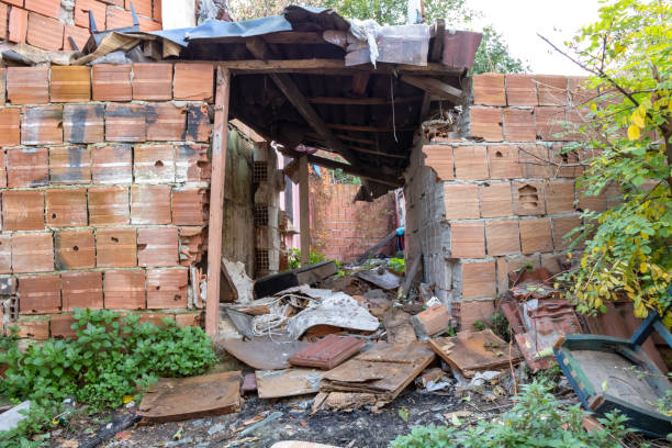 istock Ruins of a house 1273196164
