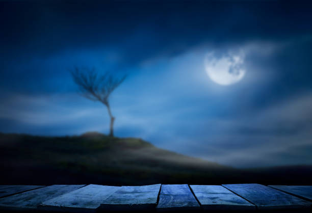 un arbre de branche nu solitaire d’halloween dans un paysage isolé de landes la nuit. - bare tree tree single object loneliness photos et images de collection