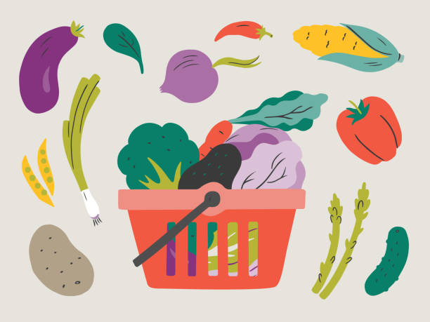 ilustraciones, imágenes clip art, dibujos animados e iconos de stock de ilustración de verduras frescas en la cesta de la compra — elementos vectoriales dibujados a mano - comida sana ilustraciones