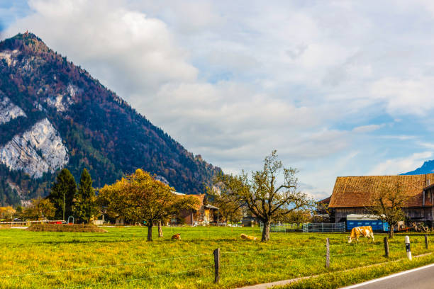 istock village of switzerland autumn 1273200230
