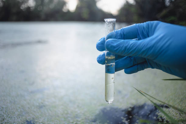 Water pollution. stock photo