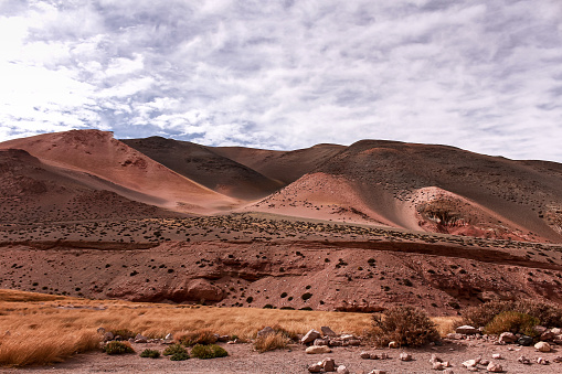 Desertic landscape with mountains and geological formations from Argentina