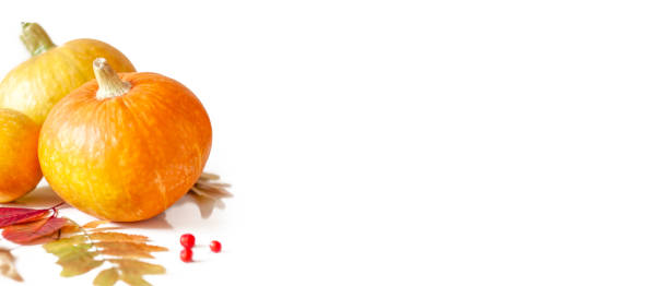 istock Autumn banner. Pumpkins, autumn leaves and rowan berries on a white background. Selective focus. Long banner. Copy space 1273201720