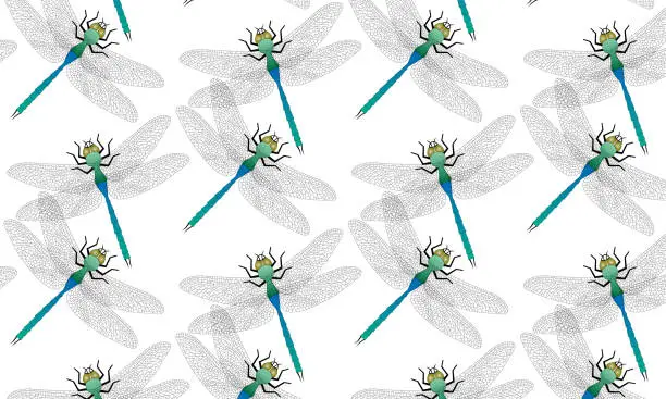 Vector illustration of Dragonfly pattern