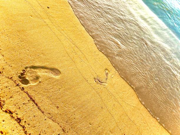 istock Footprint at the beach 1273207345