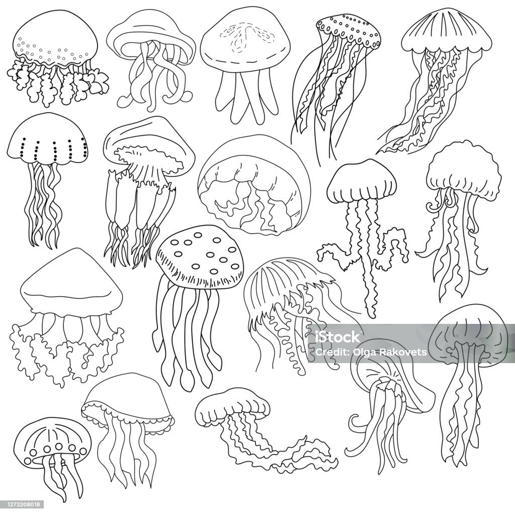 Ilustración de Conjunto De 18 Contorno Dibujo De Medusas De Diferentes Especies Página Para Colorear Con Habitantes Submarinos De Mar Ilustración De Contorno Vectorial y más Vectores Libres de Derechos de Medusa - Ilustración de Conjunto De 18 Contorno Dibujo De Medusas De Diferentes Especies Página Para Colorear Con Habitantes Submarinos De Mar Ilustración De Contorno Vectorial y más Vectores Libres de Derechos de Medusa -