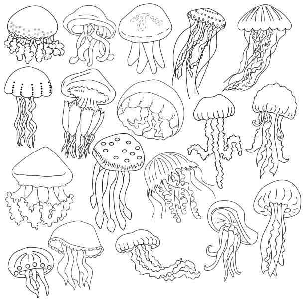 22,600+ Jellyfish Illustrations, Royalty-Free Vector Graphics & Clip ...
