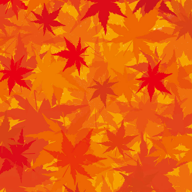 Autumn leaves background It is an illustration of a Autumn leaves background. Japanese Maple stock illustrations