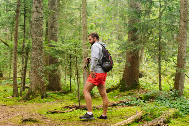 istock Young man hiking in mountain woodland 1273209418