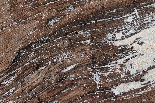 Detailed close up view on different wood surfaces showing planks logs and wooden walls in high resolution