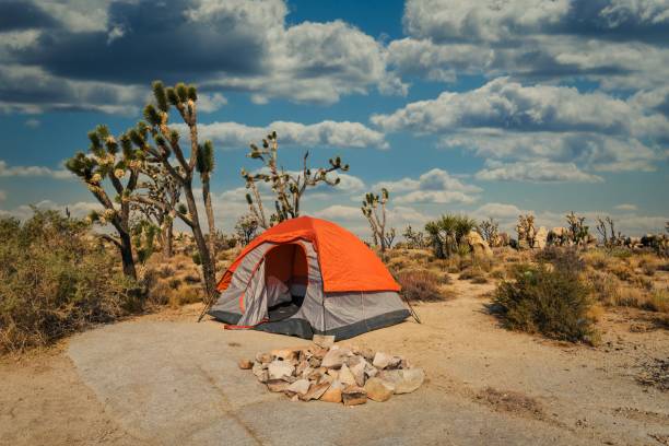 istock side view camping tent in desert landscape 1273217146