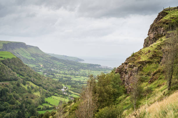 Beautiful scenic valley at Glenariff forest trail in County Antrim, Northern Ireland Scenic view of the valley at Glenariff forest in County Antrim coast, Northern Ireland, in summer with lots of wild plants and a cloudy sky glenariff photos stock pictures, royalty-free photos & images