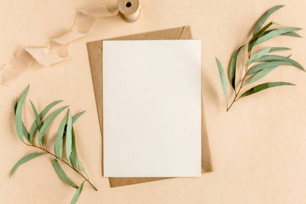 Mockup invitation, blank greeting card and craft envelope, green leaves eucalyptus. Flat lay, top view